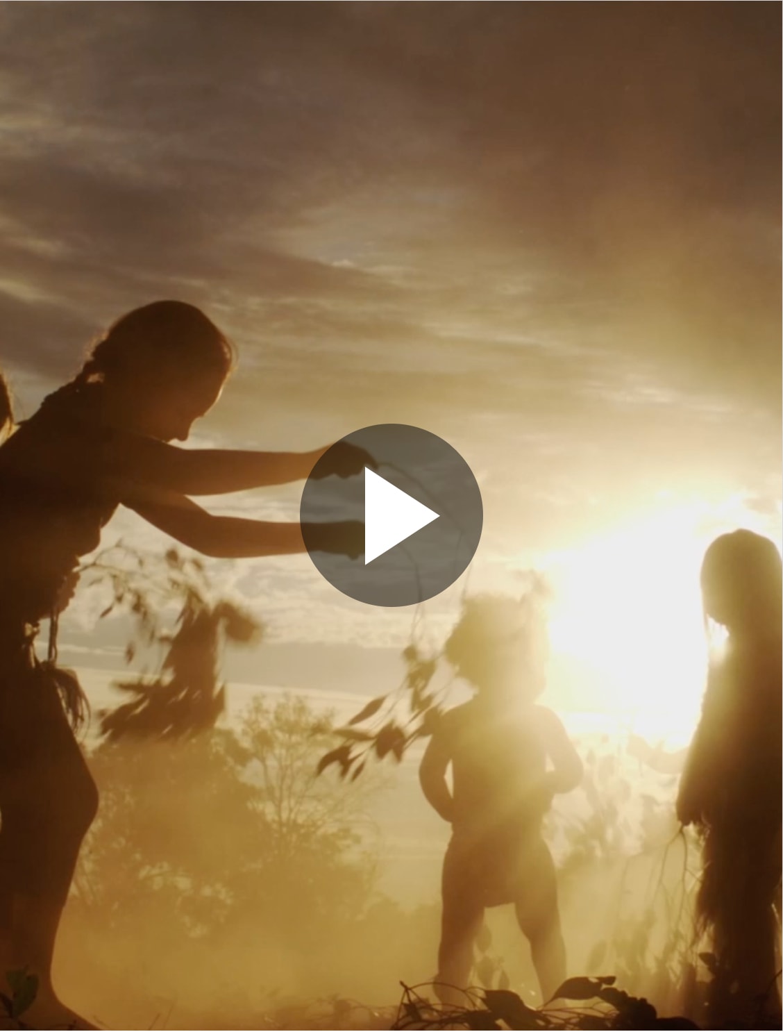 Breville Coffee Machines, Kettles & More David Jones